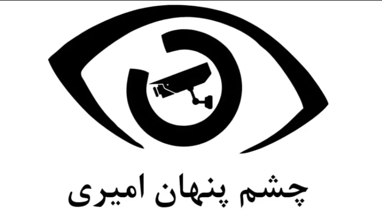 سیستم امنیتی و حفاظتی مهندس امیری