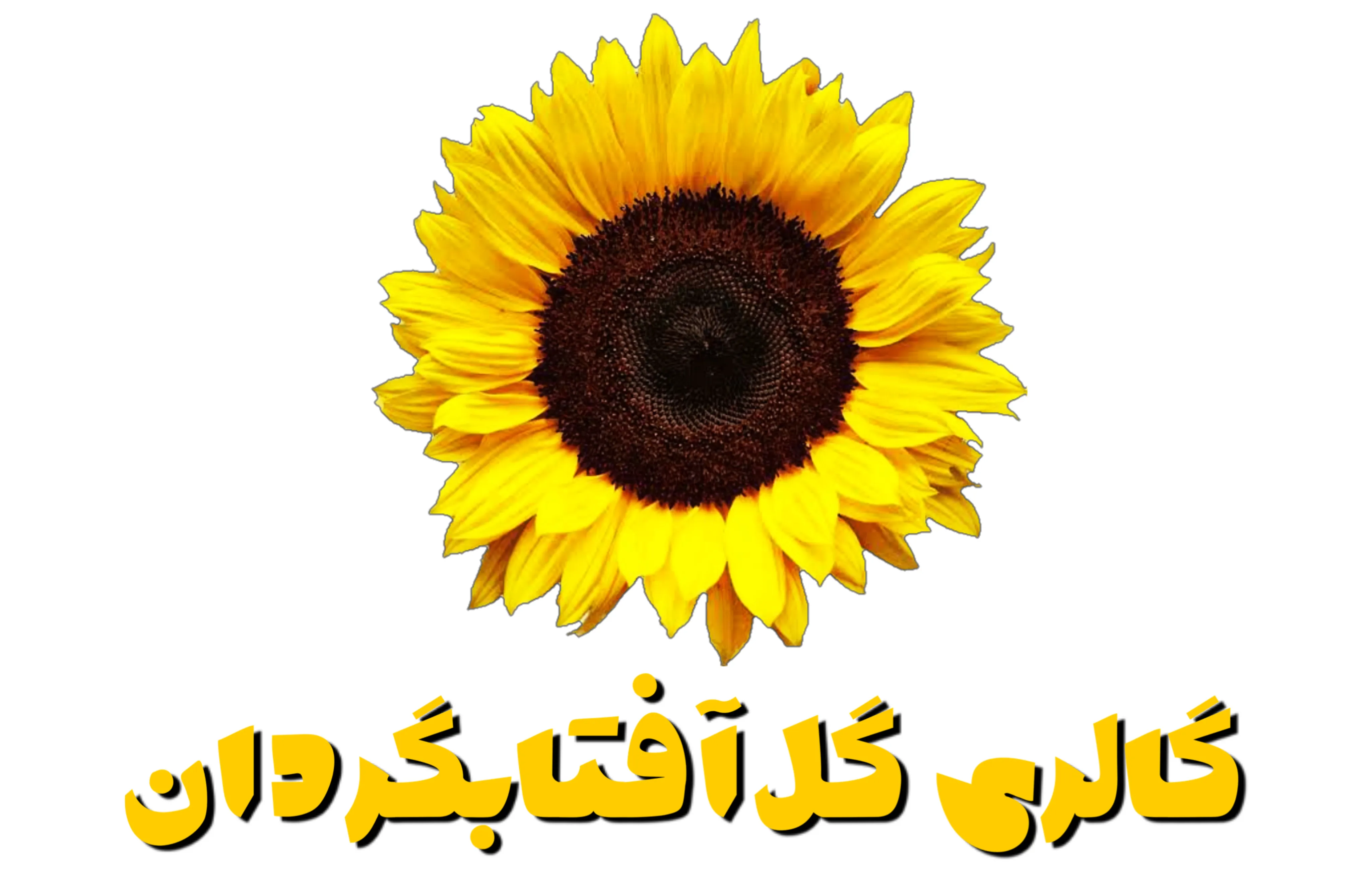 نگاه کردن به گل ها مایه آرامش است